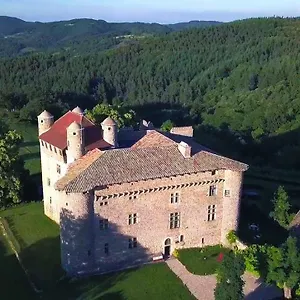 Chateau De Maisonseule Bed and breakfast